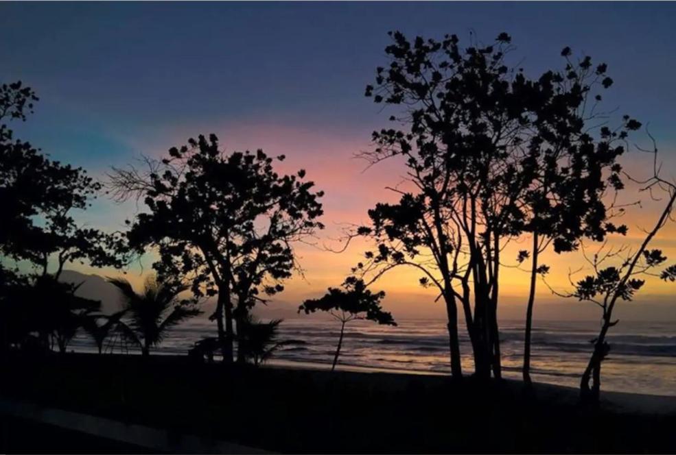 Toninhas Apto Pe Na Areia Ubatuba